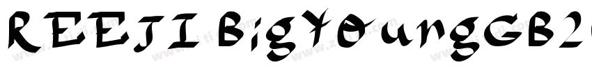 REEJI BigYoungGB20 字体转换
